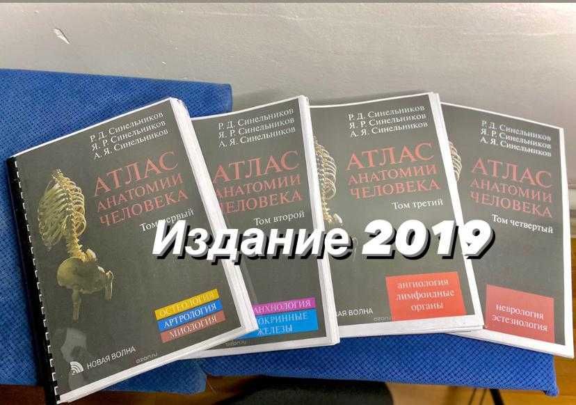 Анатомия Человека атлас в 4-х томах  автор Синельников