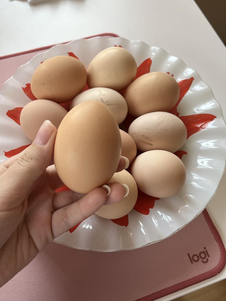 oua proaspete de casa