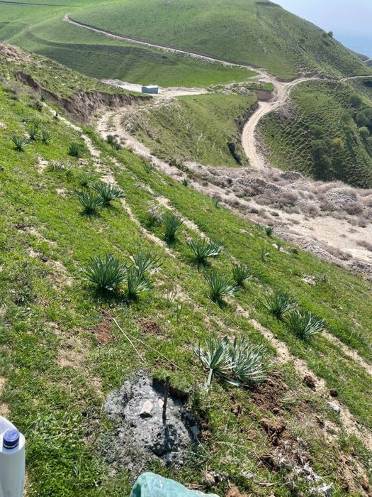 Marmarlashgan ohaktosh koni (qurilish ishlari uchun)