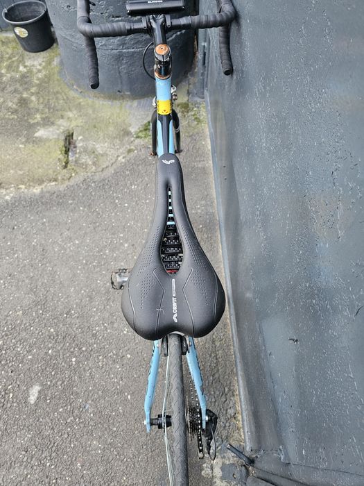 Semicursiera viking