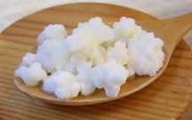 Ciuperca tibetana de chefir.