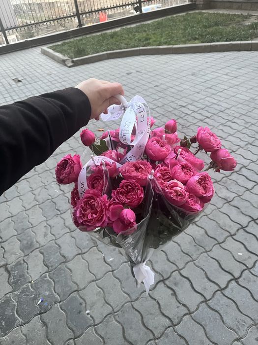 Жаңа келген свежи гүлдер