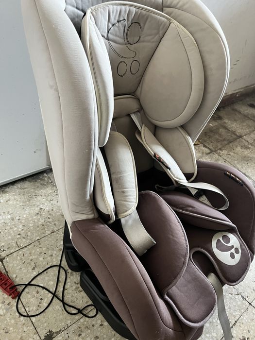 Детско столче за кола Lorelli 0-18kg
