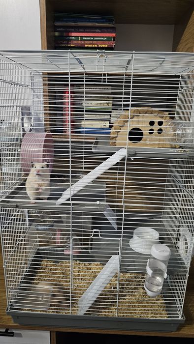 Продаётся клетка 4 этажная хомяки в подарок