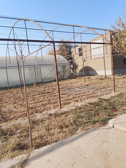 Tplessa parnik sotiladi