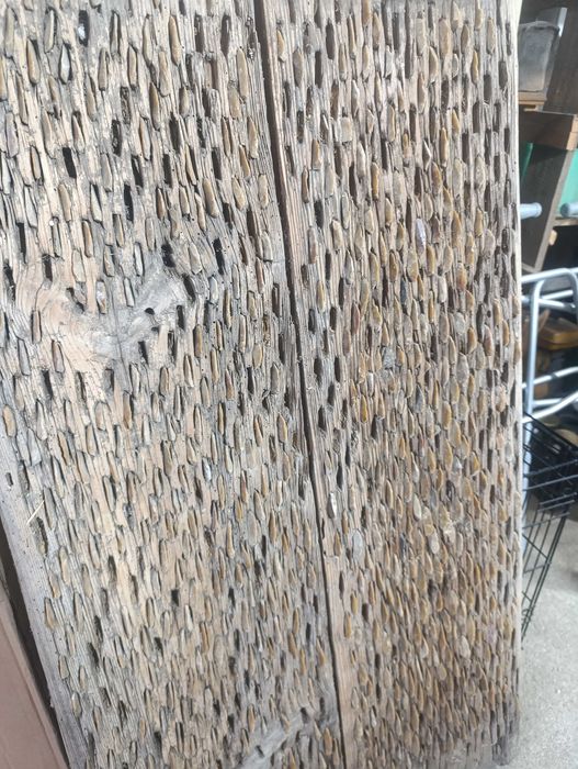 Диканя в отлично състояние