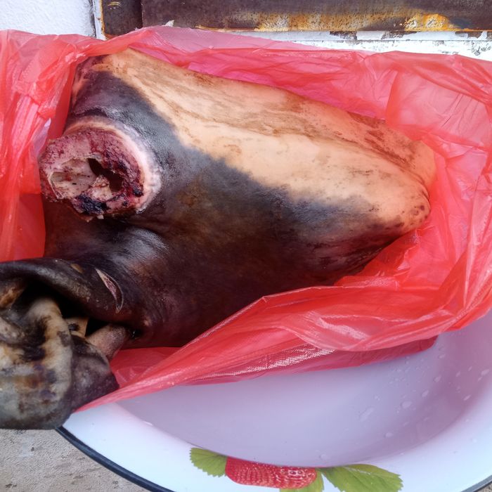 Голова говяжий продам.