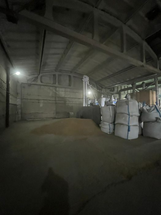 Очистка и калибровка любых зерновых культур