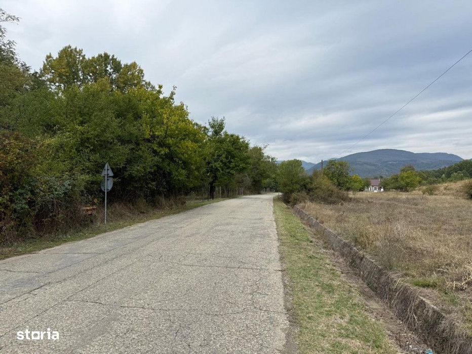 Teren 13.000 mp - Runcu-Suseni - oportunitate turistica