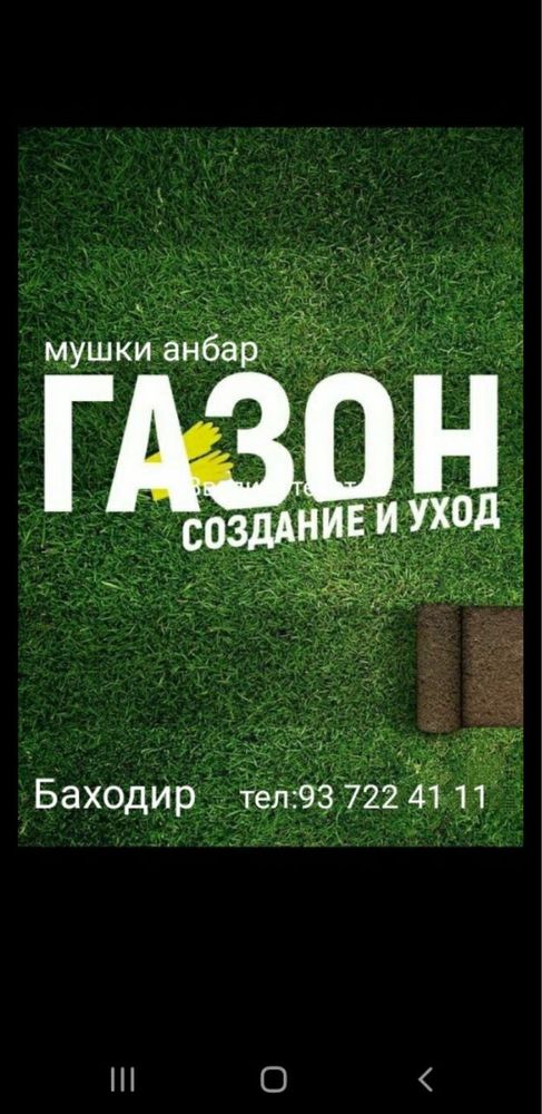Gazon газон спорт мастер