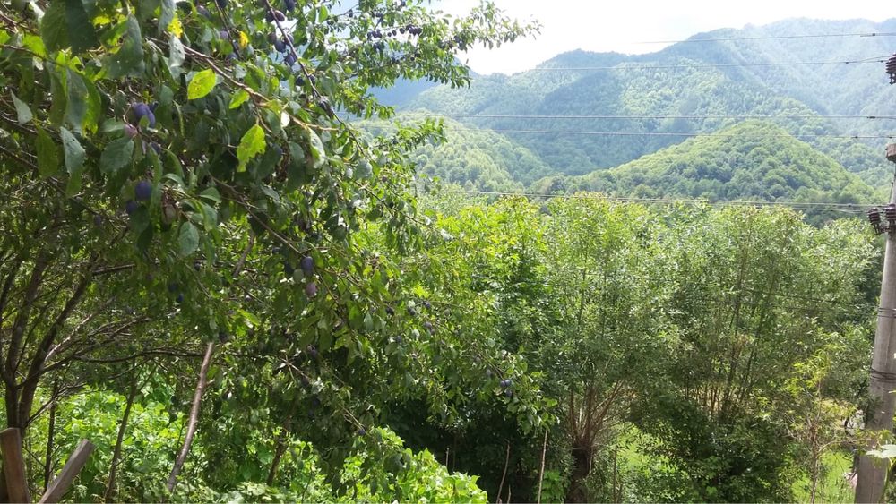 Proprietate ideala investitie(Open Air Blues Festival)-Brezoi(Valcea)