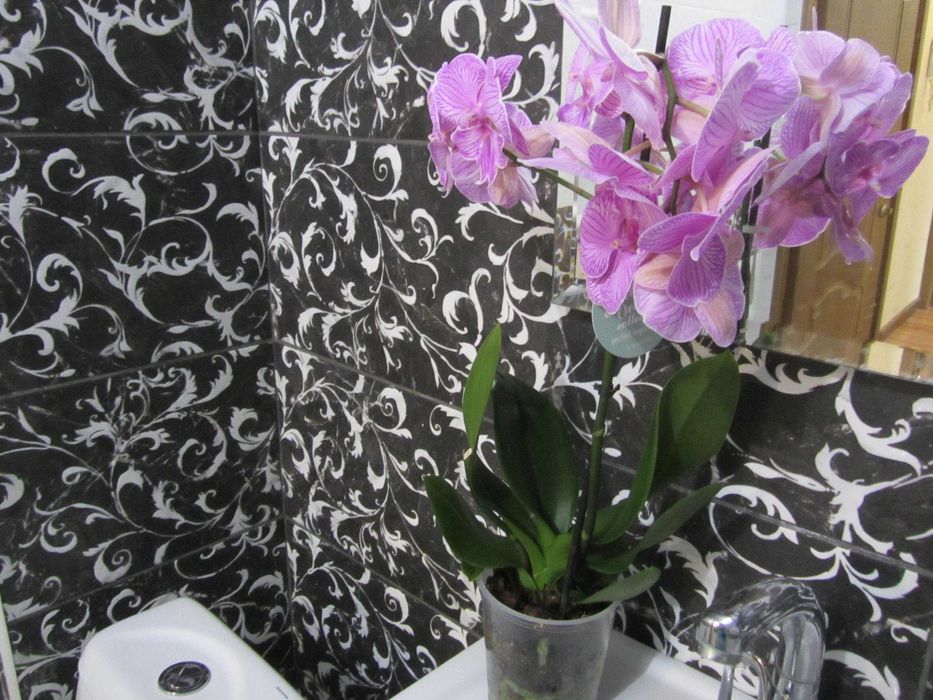 Курмангазы - Жарокова ТЦ Глобус