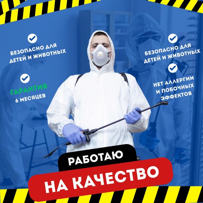 Дезинфекция Дезинсекция Дератизация  СЭС САНПИН КРУГЛОСУТОЧНО