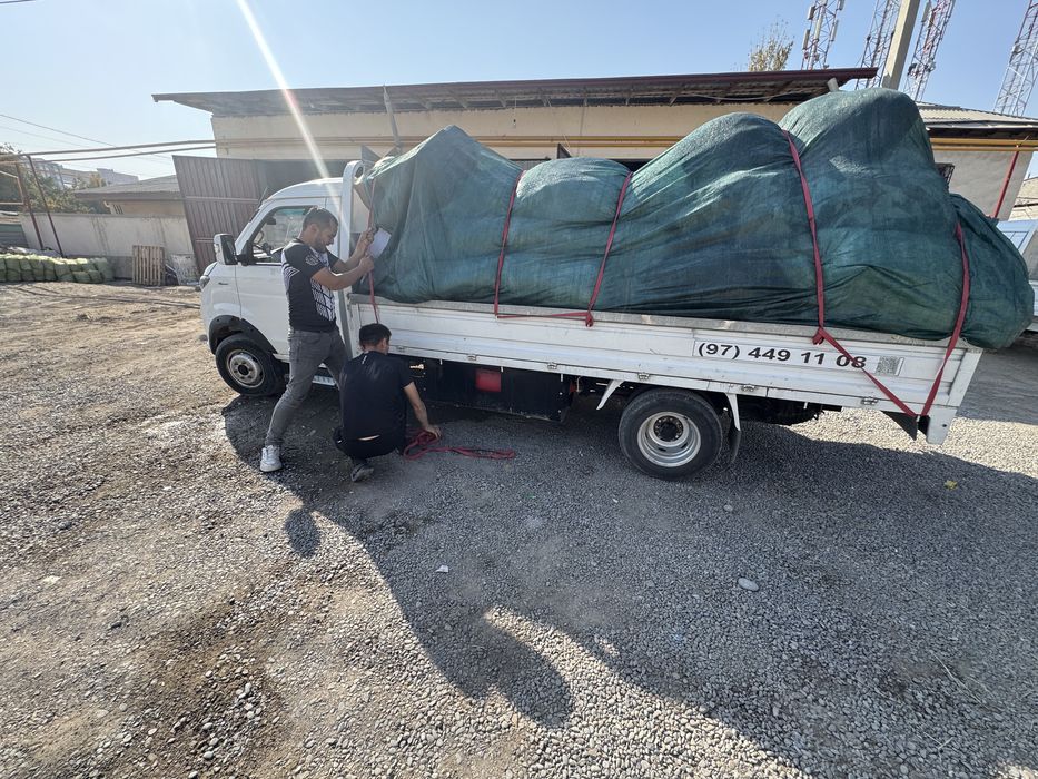 Т 50 Шенрай мусор вывоз