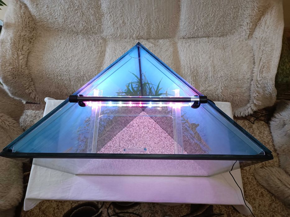 Аквариум за рибки ъглов