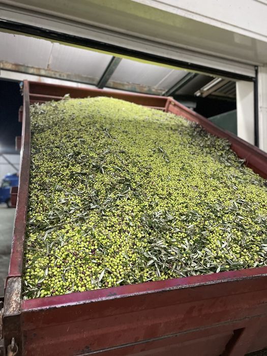 Ulei de masline extra virgin