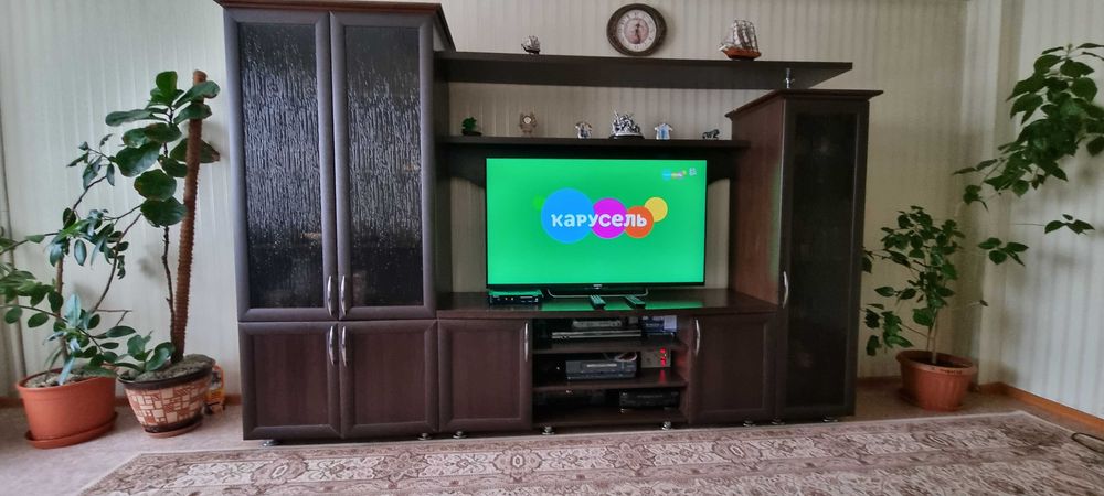 Горка с затемнёнными стёклами.