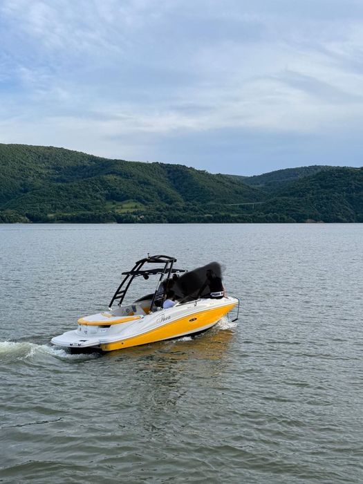 Barca Sea Ray 185