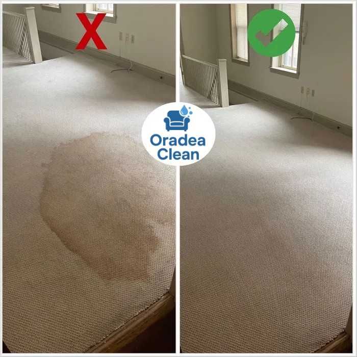 Curățare Profi canapele la domiciliu Prețuri mici rezultate impecabile