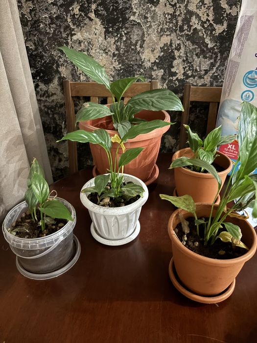 Отдам все за 2300 тг