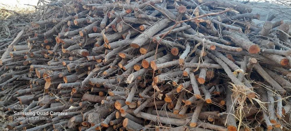 Утинлар сотилади