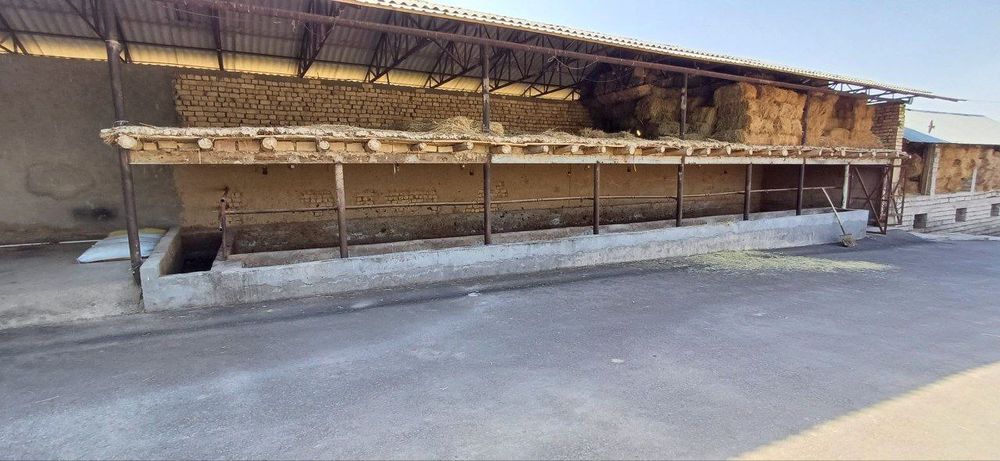 Ферма сотилади. Паркент тумани.