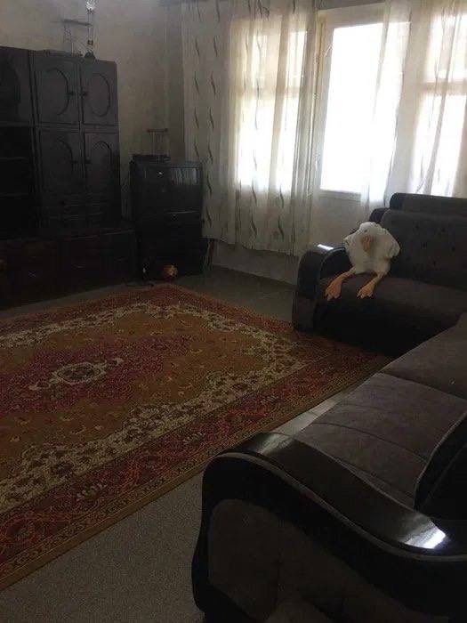 Квартира Ул. Саид Барака  2/5/9 59 кв.м