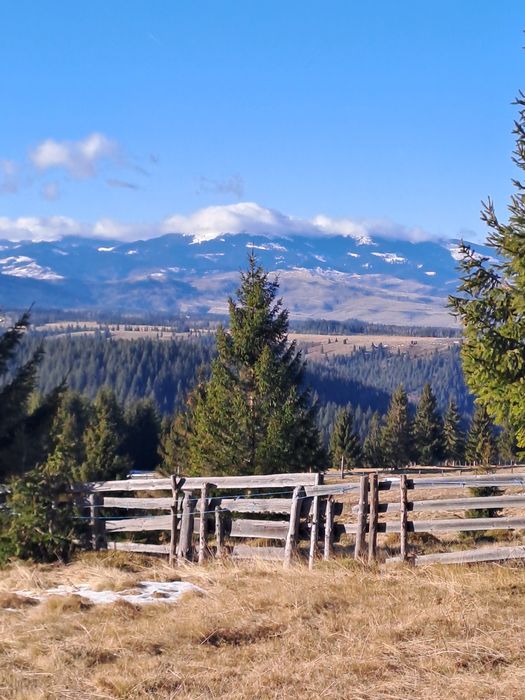 Vând teren la Marisel