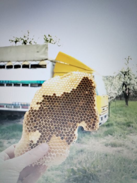 Vand polen crud de primăvară