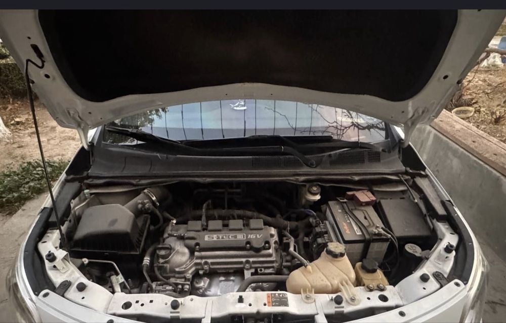 COBALT LTZ 2019 ………