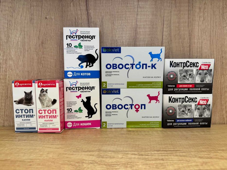 Контрацептивы для собак и кошек