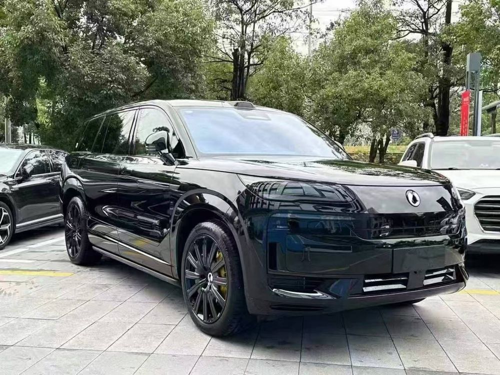 Denza N9 Flagship Фулл позиция сотвуда