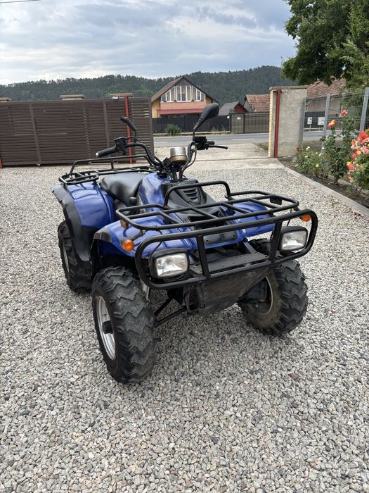 Vand Atv Linhai 300 2x4