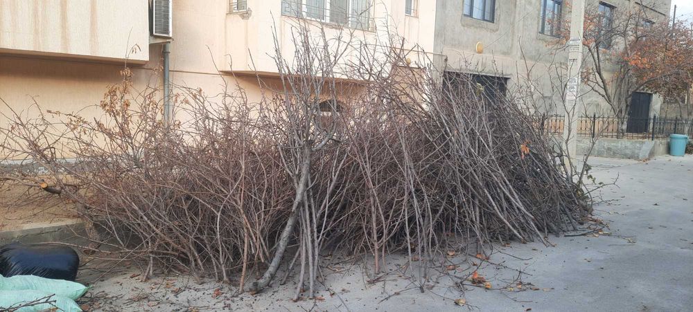 отдам даром дрова самовывоз