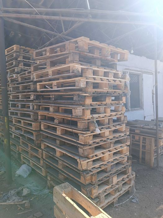 Paddon palet 100*120.    50000dan