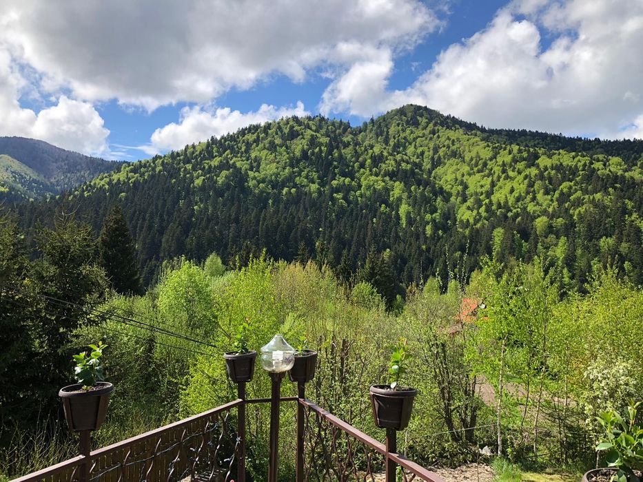 Revelion Băile Tușnad