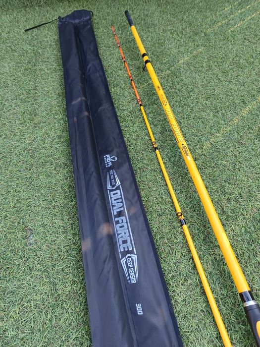 SET 3 Lansete Feeder 3.0m Pro Fl Dual Force  200 gr .

Se găsesc și în