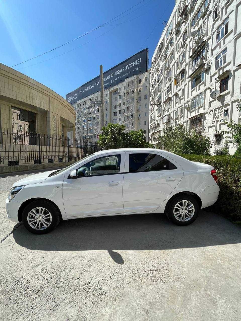 Cobalt 2025 stayl