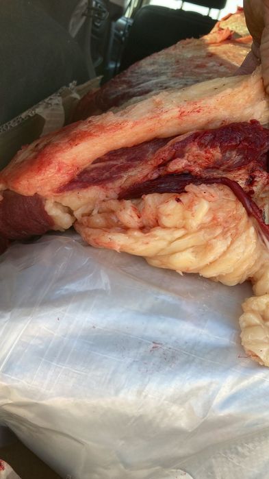 Жылкынын ети жиликтеп