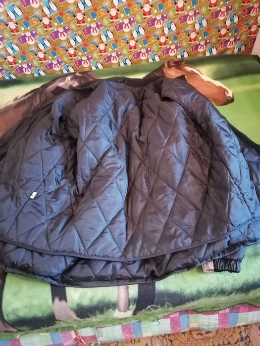 OFERTA, OFERTA, Ofertă, Ofertă, Ofertă, Ofertă