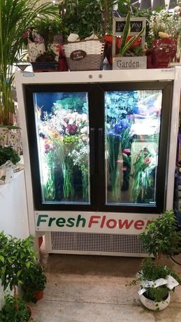 Vitrina flori frigorifica Flores