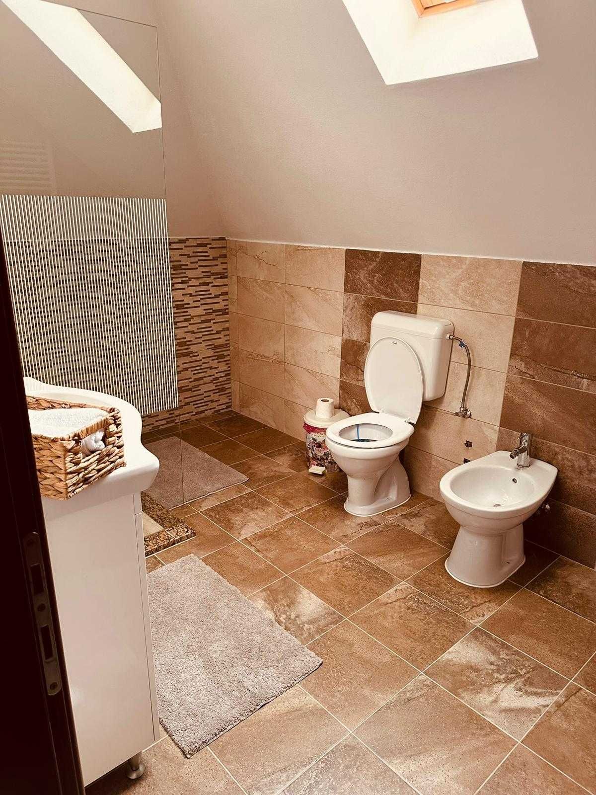 Casa Hardic saună si ciubar incluse in pret