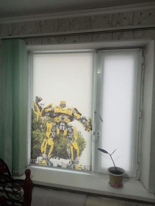 Ролл шторы, Жалюзи,  День-ночь декор окон