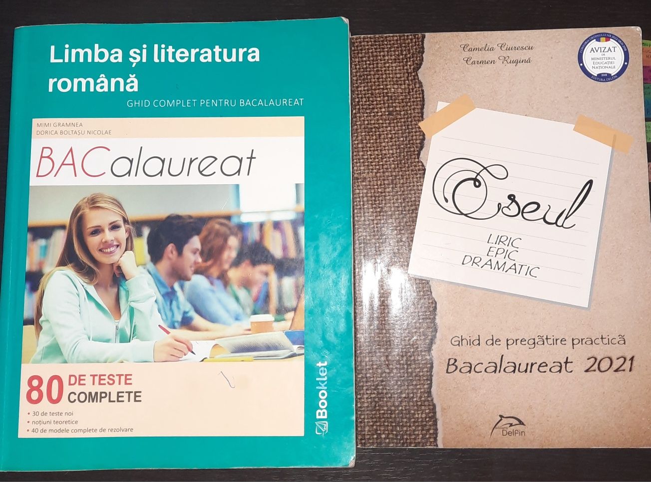 Cărți pentru bacalaureat romana