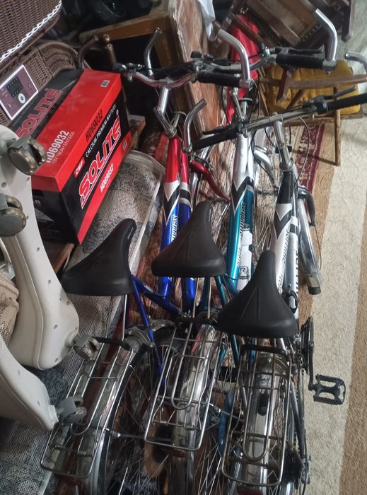 Phillips velosiped sotiladi