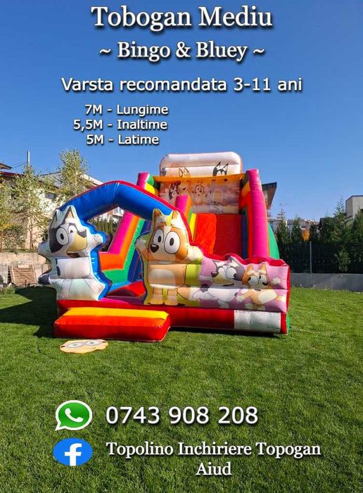 Tobogane  Gonflabile pentru diferite evenimente