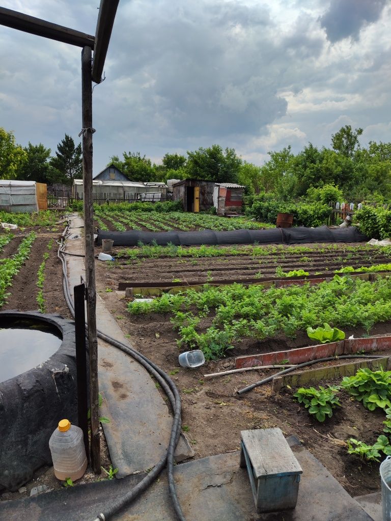 Продам дачу на дачную общество АЛМА