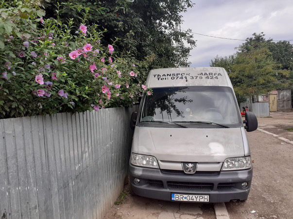 Transport marfuri