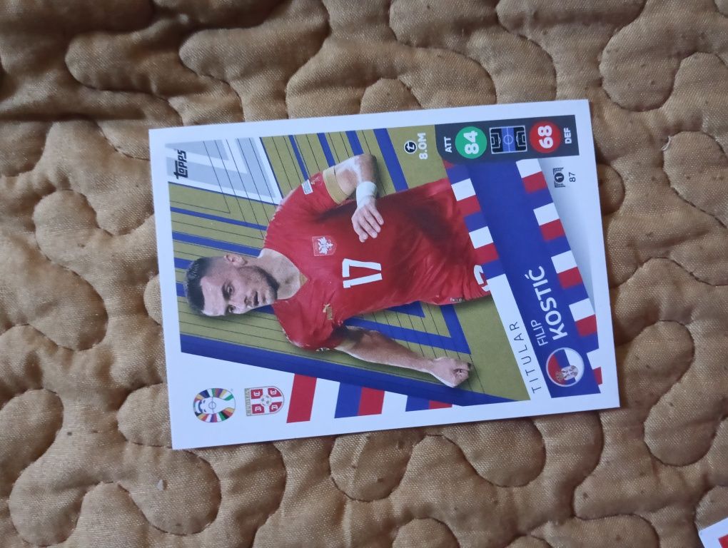 Iniesta cartonas euro 2024, Lidl