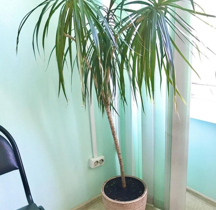 Прдам акссесуар для дома